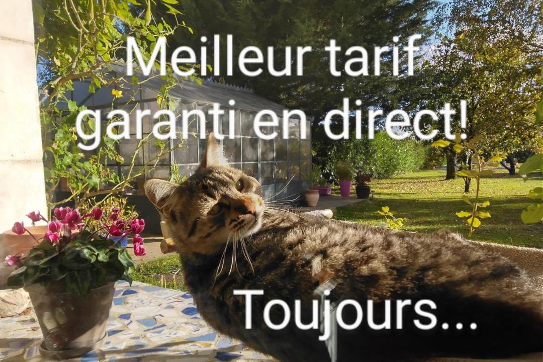 Photo of Others in Saint-Genouph