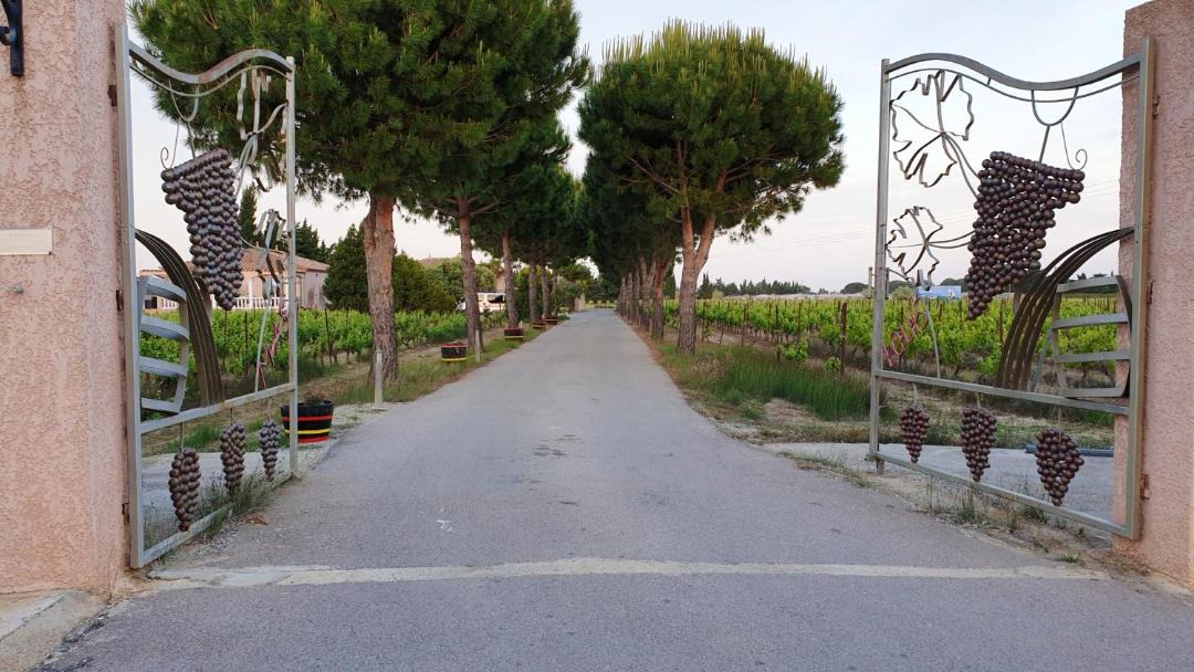 Photo of Others in Saint-Hippolyte