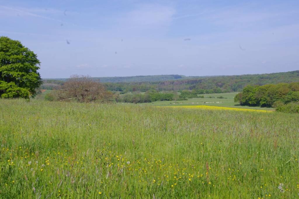 Photo of Others in Poinson-les-Fayl
