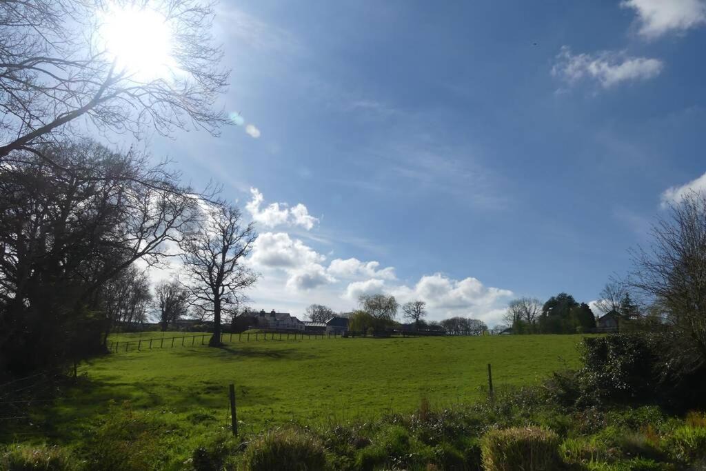 Photo of Others in Cheriton Bishop