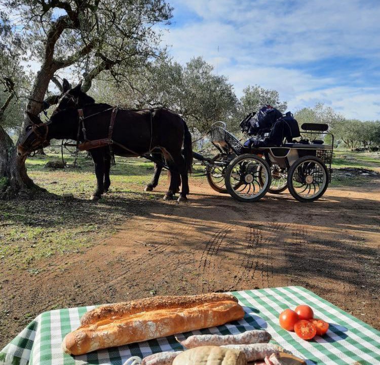 Photo of Others in Avinyonet de Puigventos