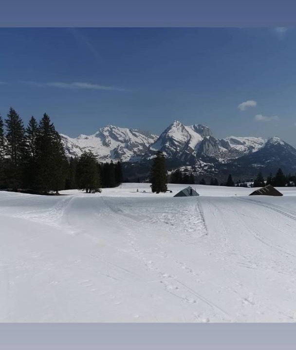 Photo of Others in Unterwasser