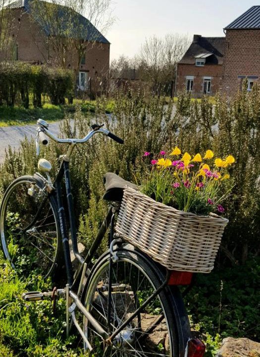 Photo of Others in Aulnoye-Aymeries