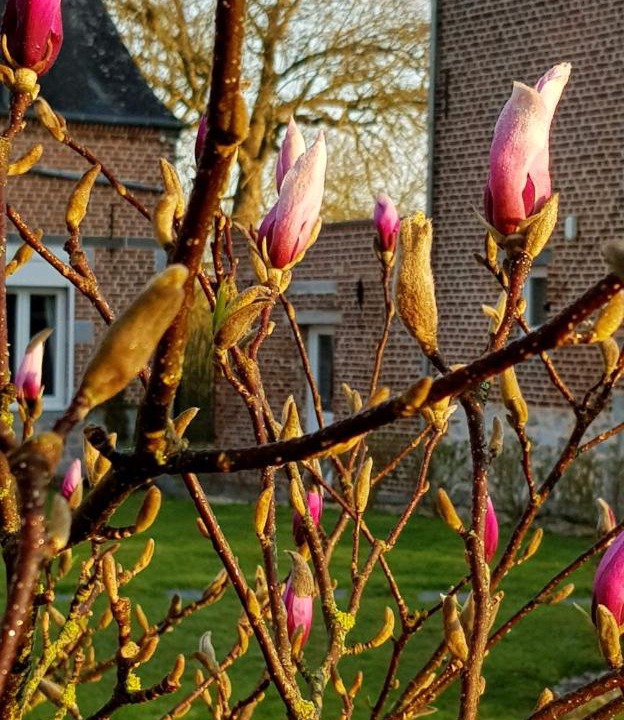 Photo of Others in Aulnoye-Aymeries