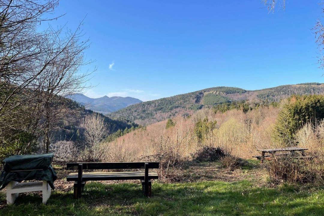 Photo of Others in Wildersbach