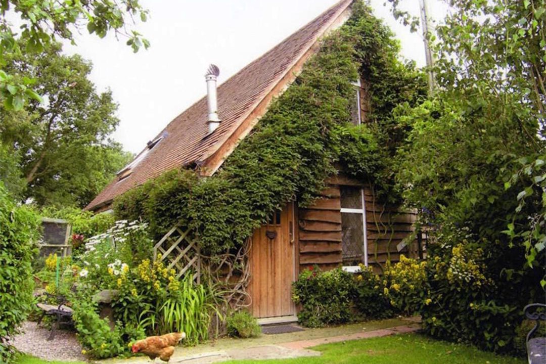 Photo of Others in Halfway House