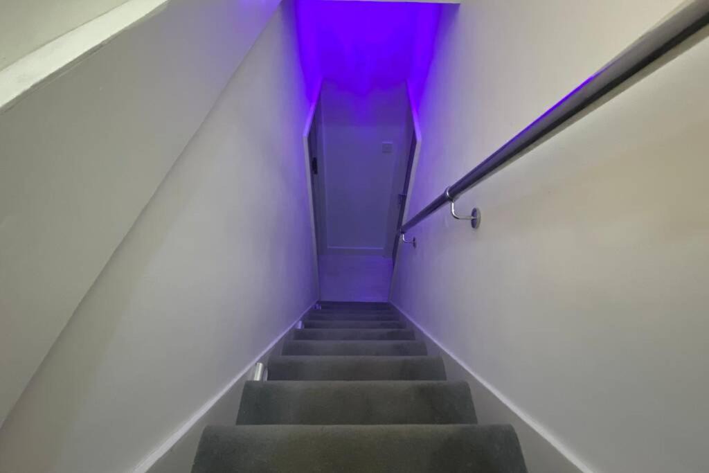 Photo of Others in Sheffield