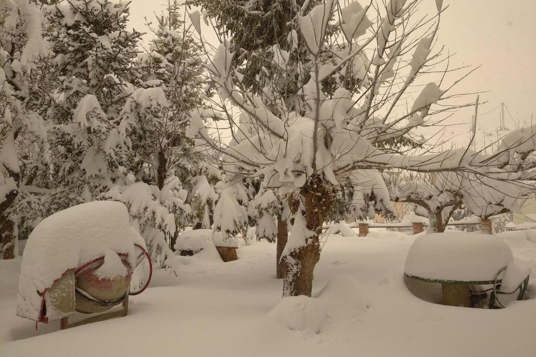 Photo of Others in Villarroya de los Pinares