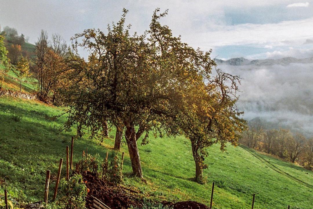 Photo of Others in Aillon-le-Jerune