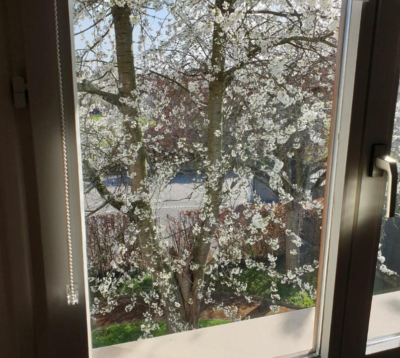 Photo of Others in Baldersheim