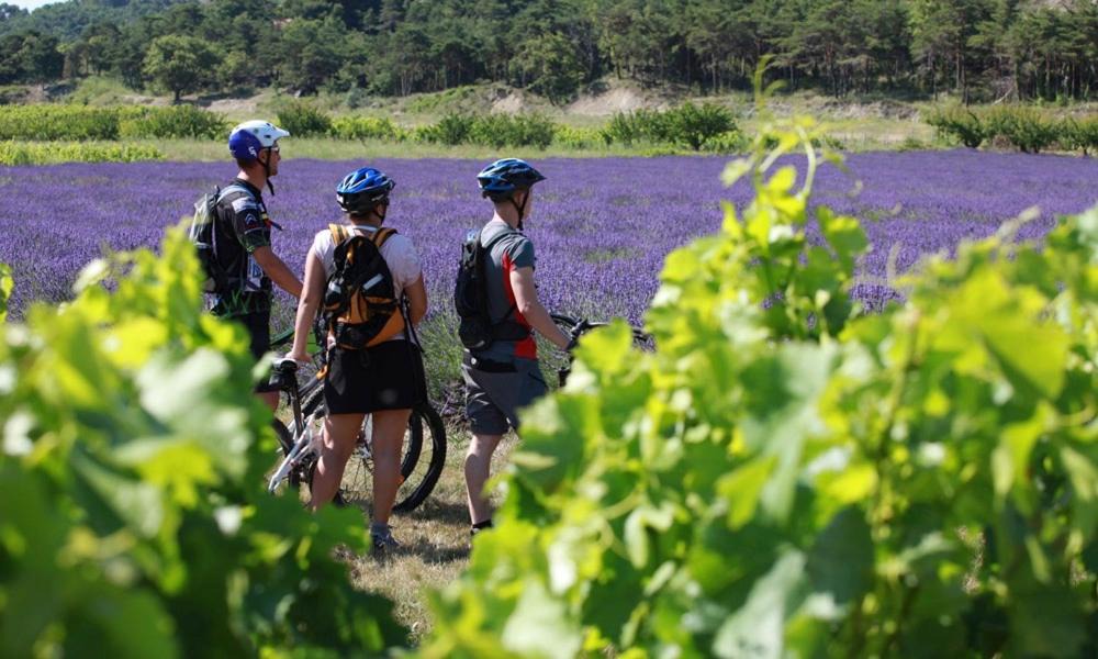 Photo of Others in Richerenches