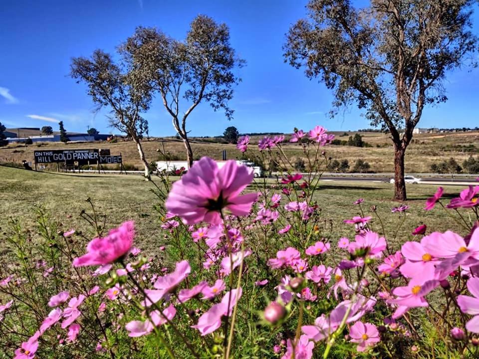 Photo of Others in Kelso