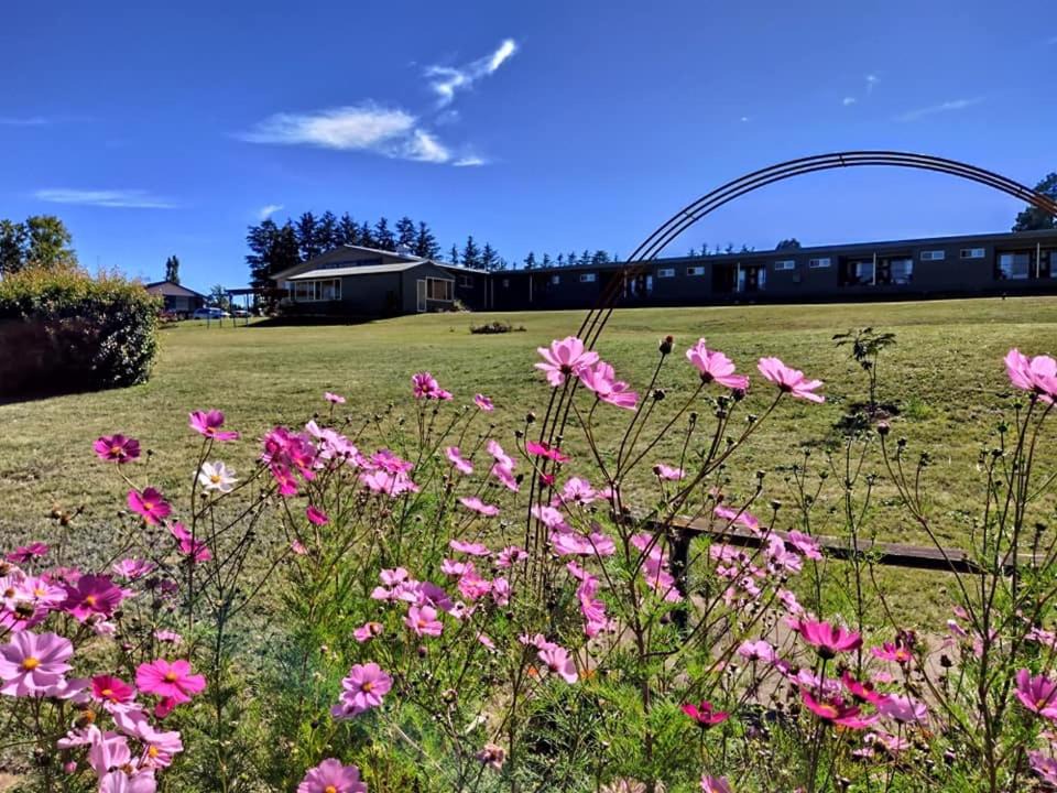 Photo of Others in Kelso