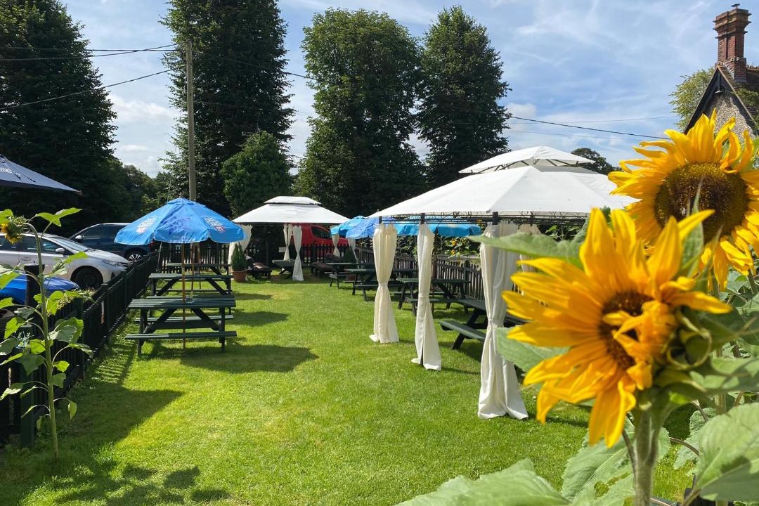 Photo of Others in Freefolk