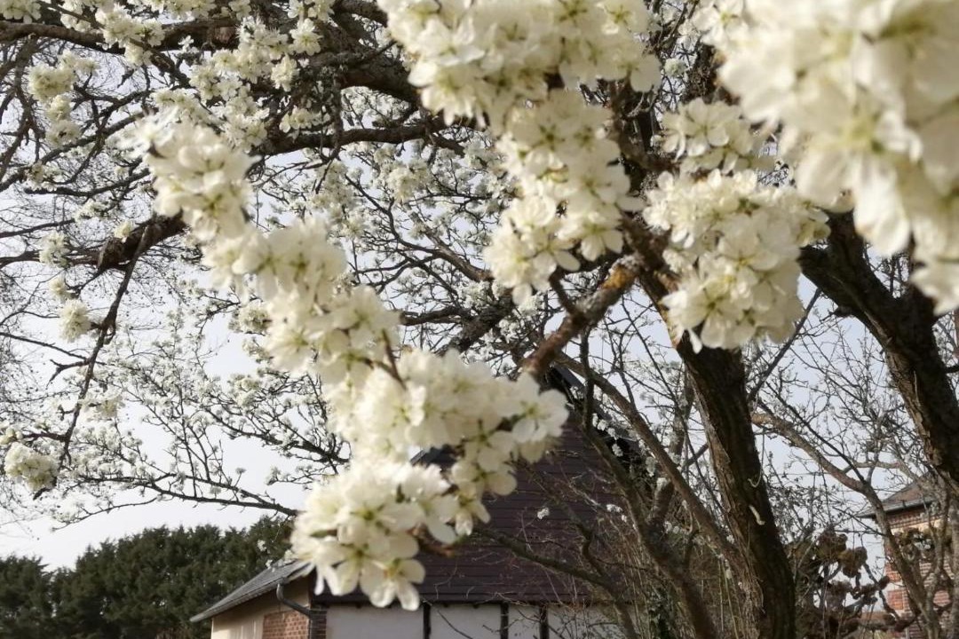 Photo of Others in Portes