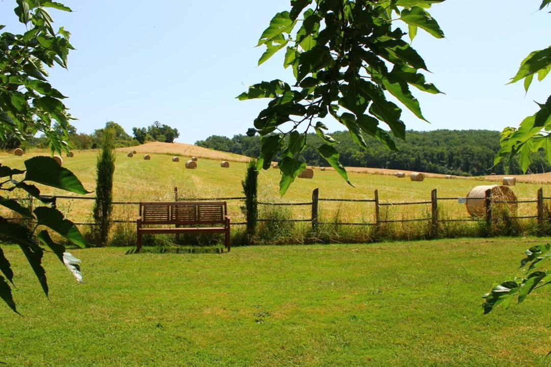 Photo of Others in Larrazet