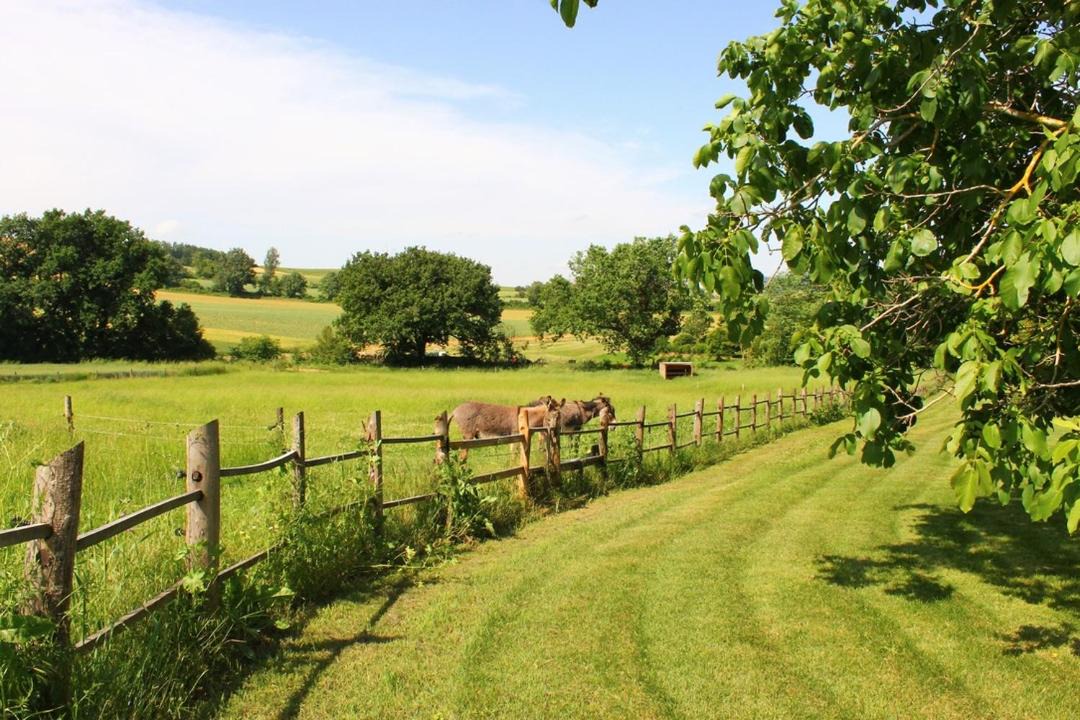 Photo of Others in Larrazet