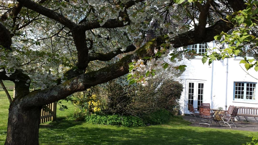Photo of Buildings in Combridge