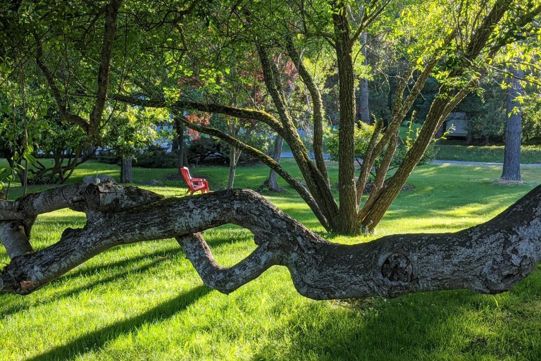 Photo of Outdoor in Friday Harbor