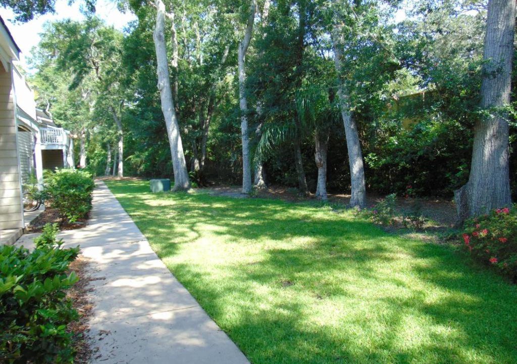 Photo of Others in Demere Park