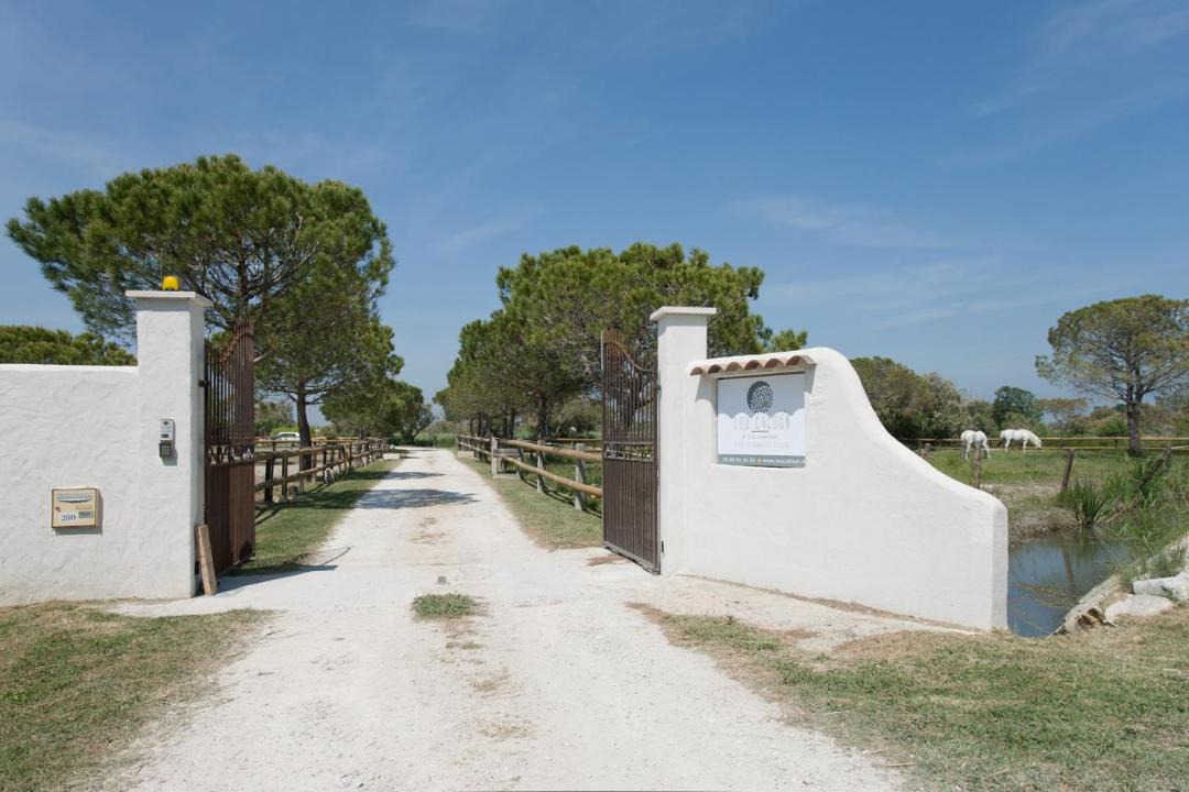 Photo of Others in Saintes-Maries-de-la-Mer