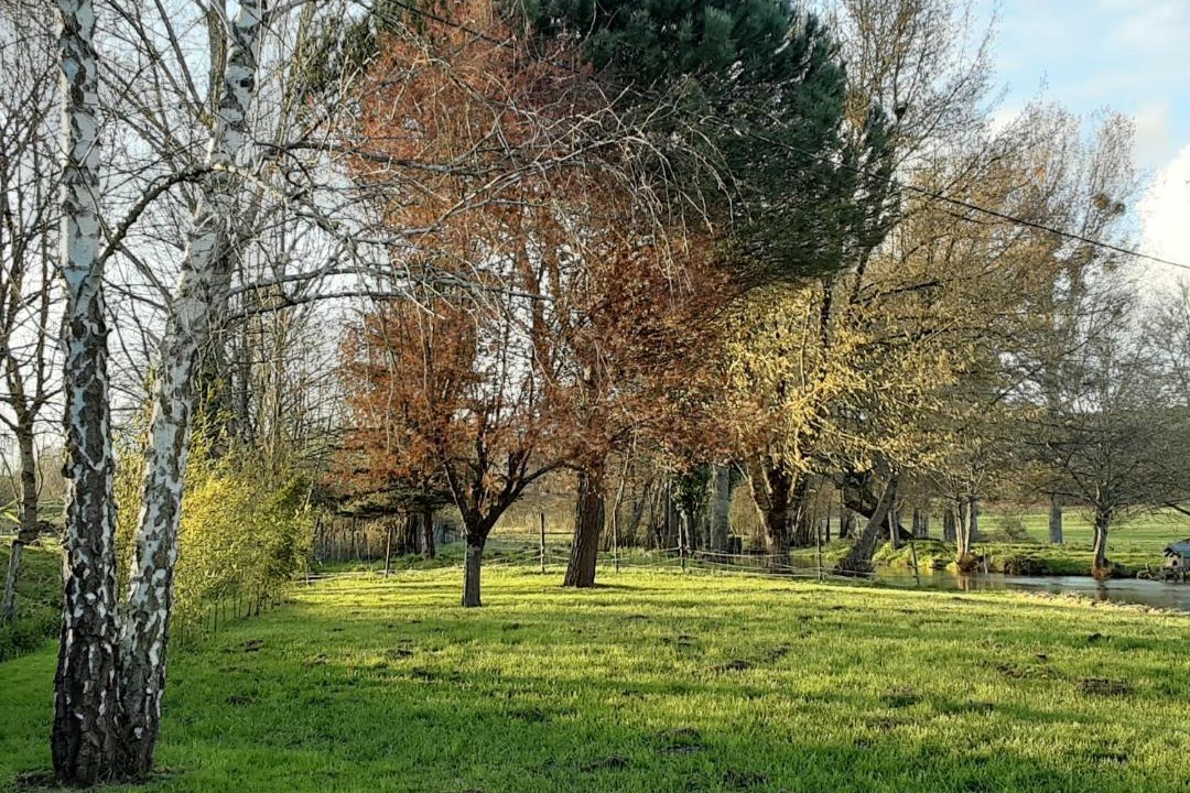 Photo of Others in Barbaste