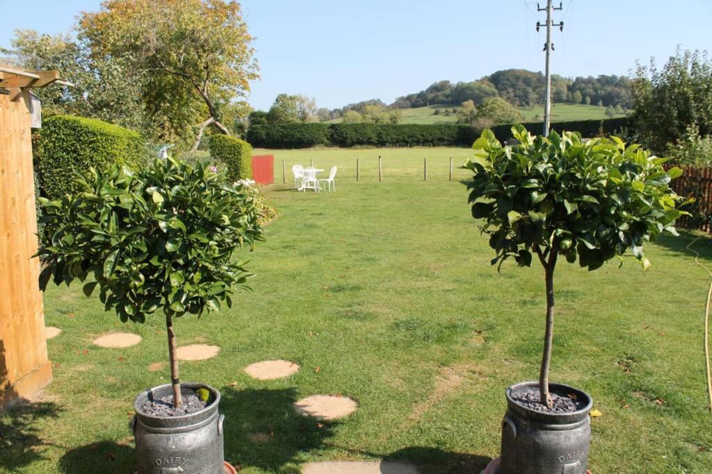 Photo of Others in Waddesdon