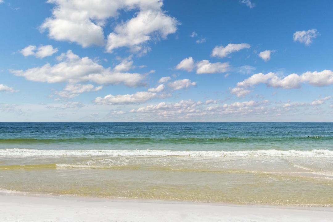 Photo of Others in Gulf Shores