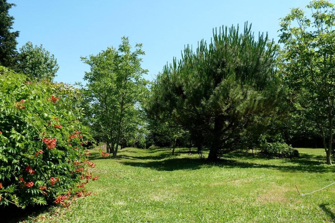 Photo of Others in Pinel-Hauterive