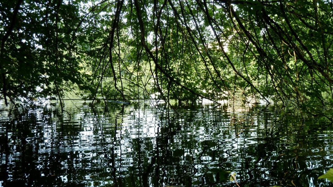 Photo of Others in Pinel-Hauterive