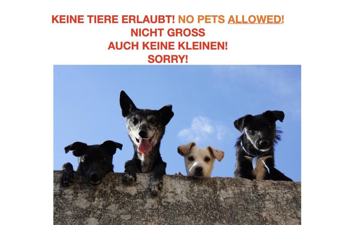 Photo of Others in Brienz