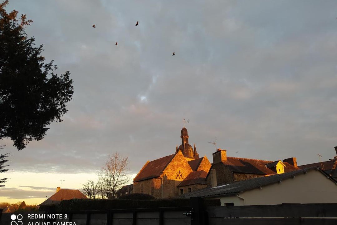 Photo of Others in Pleslin-Trigavou