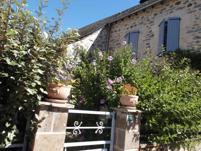 Photo of Buildings in Saignes