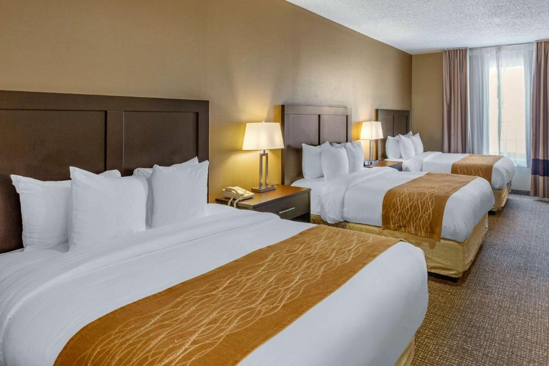 Photo of Others in Evanston