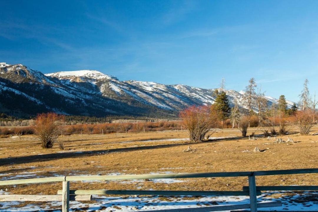Photo of Others in Moose Wilson Road