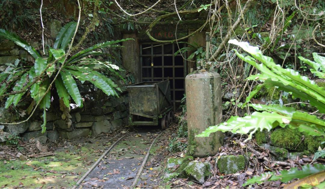 Photo of Others in Copeland