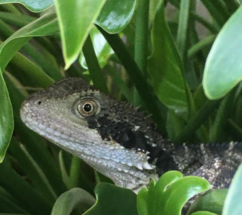 Photo of Others in Copeland