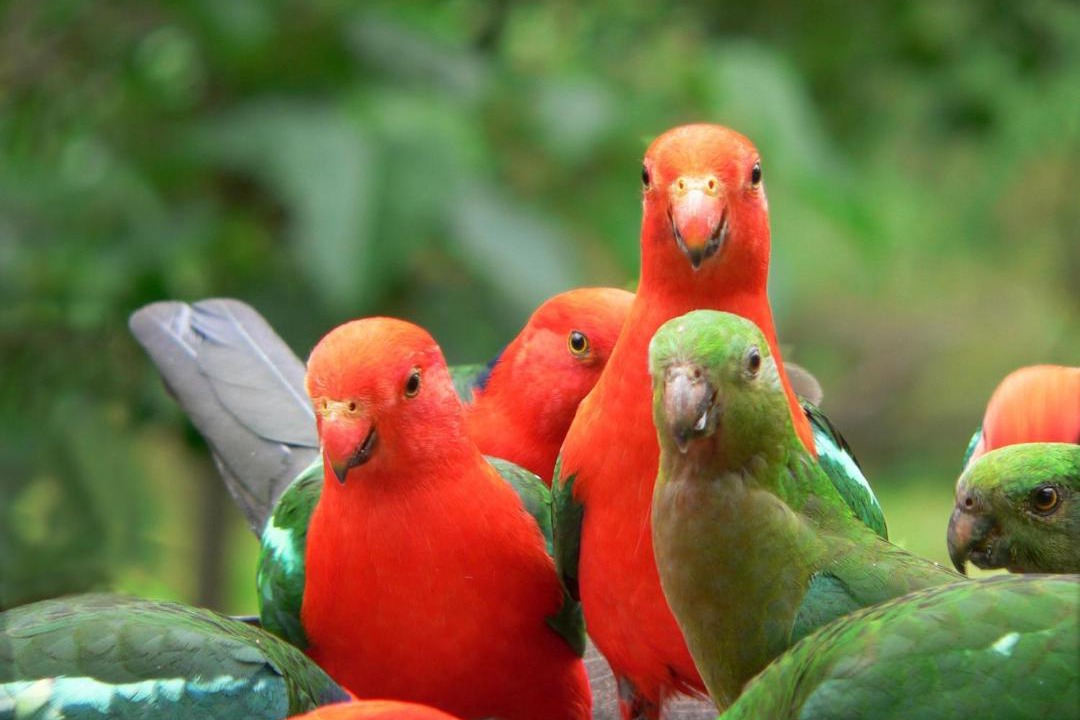 Photo of Others in Copeland