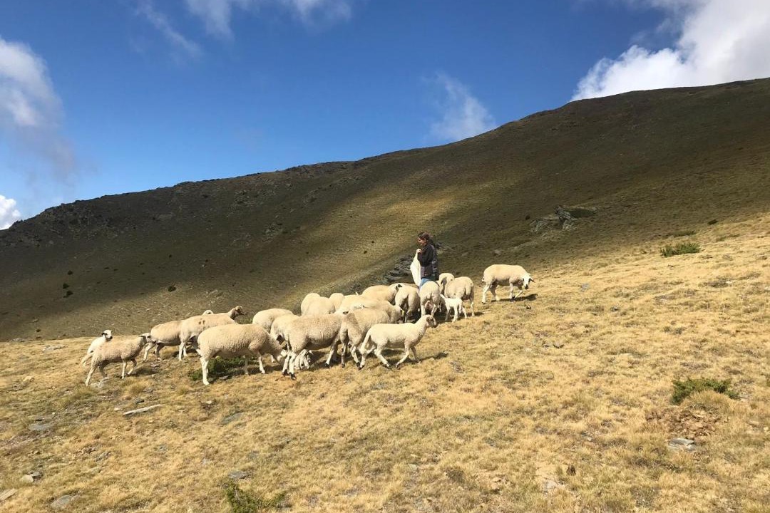 Photo of Others in Rialp