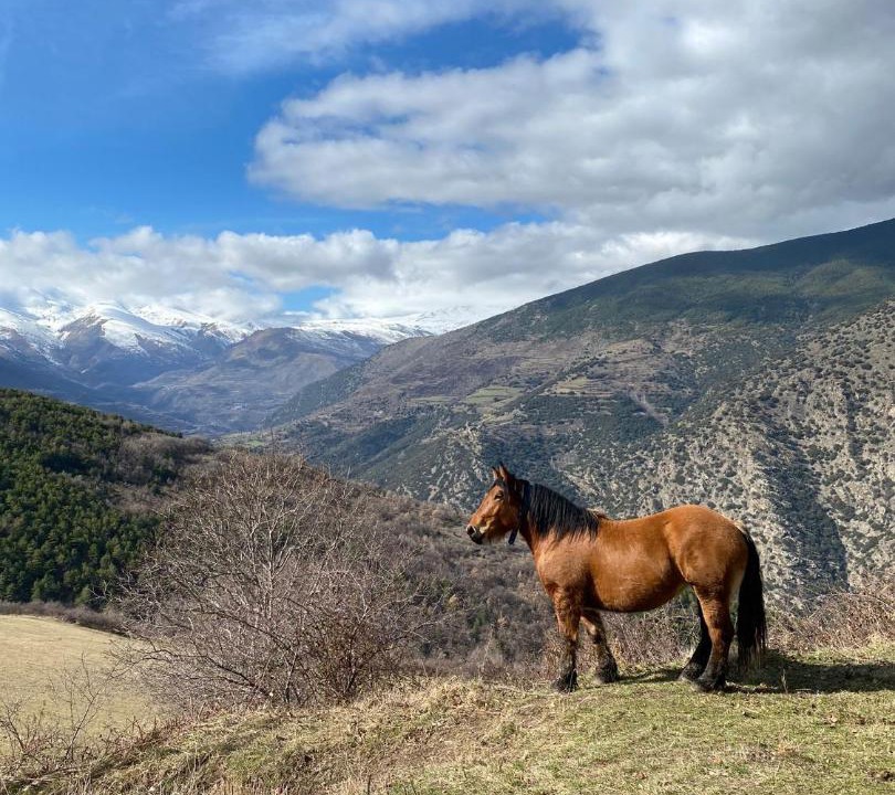 Photo of Others in Rialp