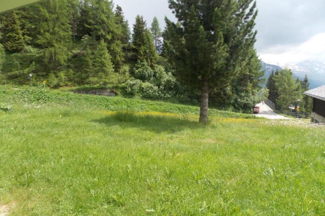 Photo of Outdoor in Riederalp