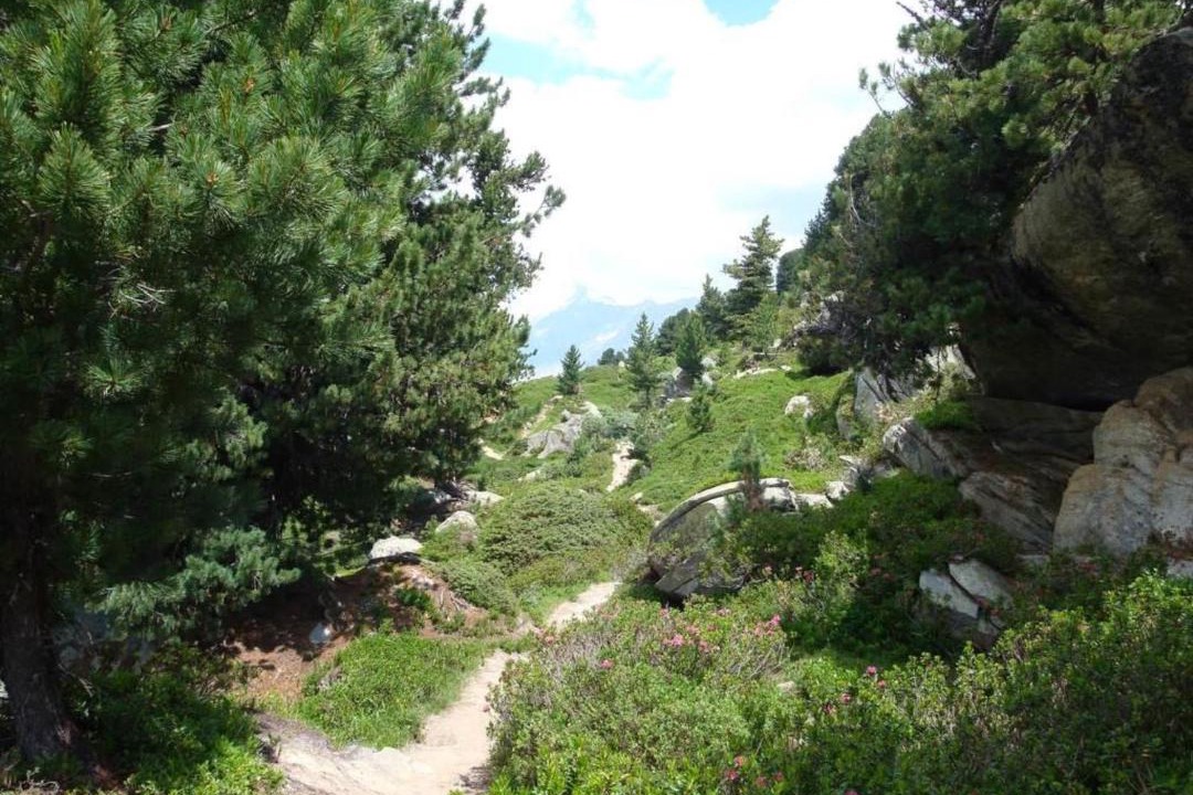 Photo of Others in Riederalp