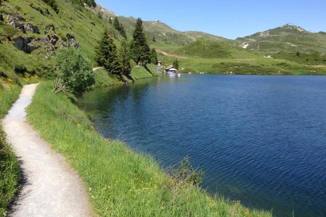 Photo of Others in Riederalp