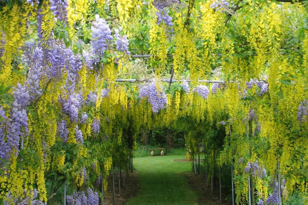 Photo of Outdoor in Barwell