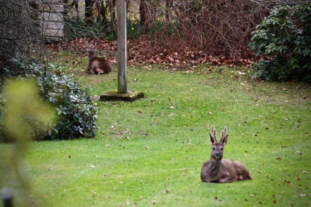 Photo of Human In Picture in New Forest District