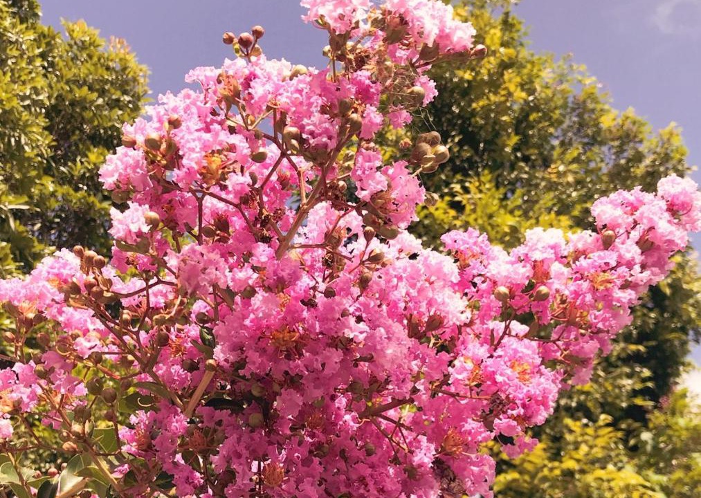 Photo of Outdoor in Sutherland