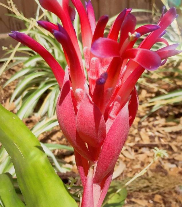 Photo of Others in Sutherland