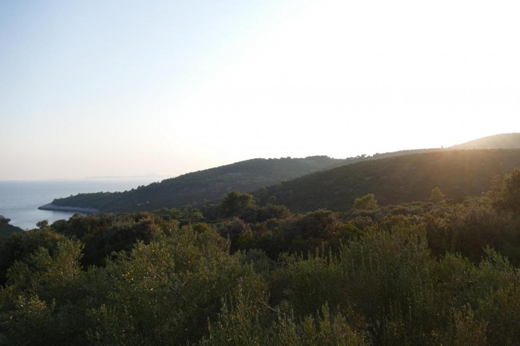 Photo of Outdoor in Cove Tri Zala (Zrnovo)