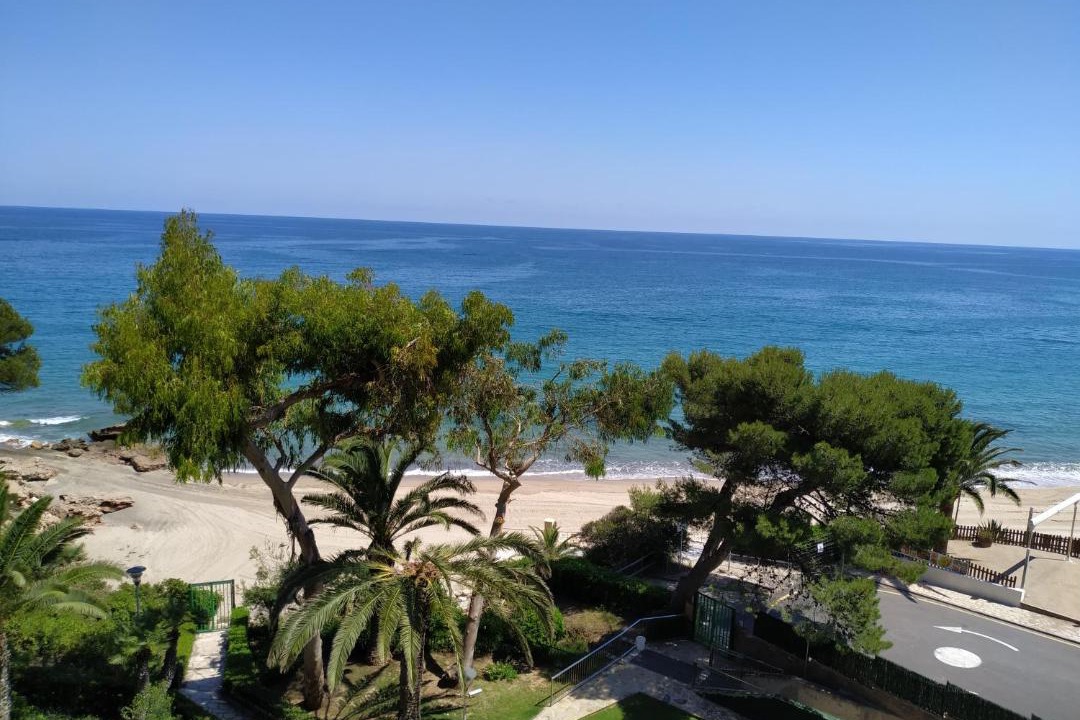 Photo of Others in Miami Platja