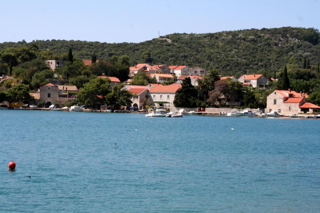 Photo of Others in Zaton